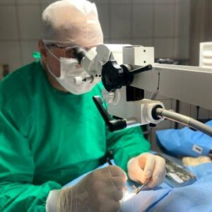 Cirurgia Veterinária em Americana