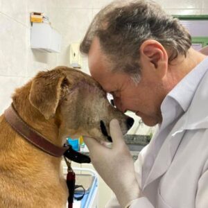 Tratamento Humanizado