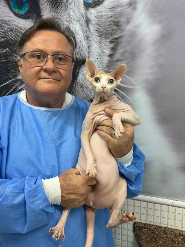 Clinica Veterinaria Clinvet Americana