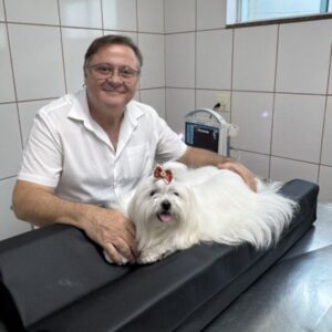 Ultrassonografia Veterinária em Americana