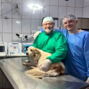 Clínica Veterinária Clinvet Americana
